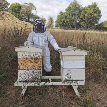 Ian with 2 hives Bacton bees