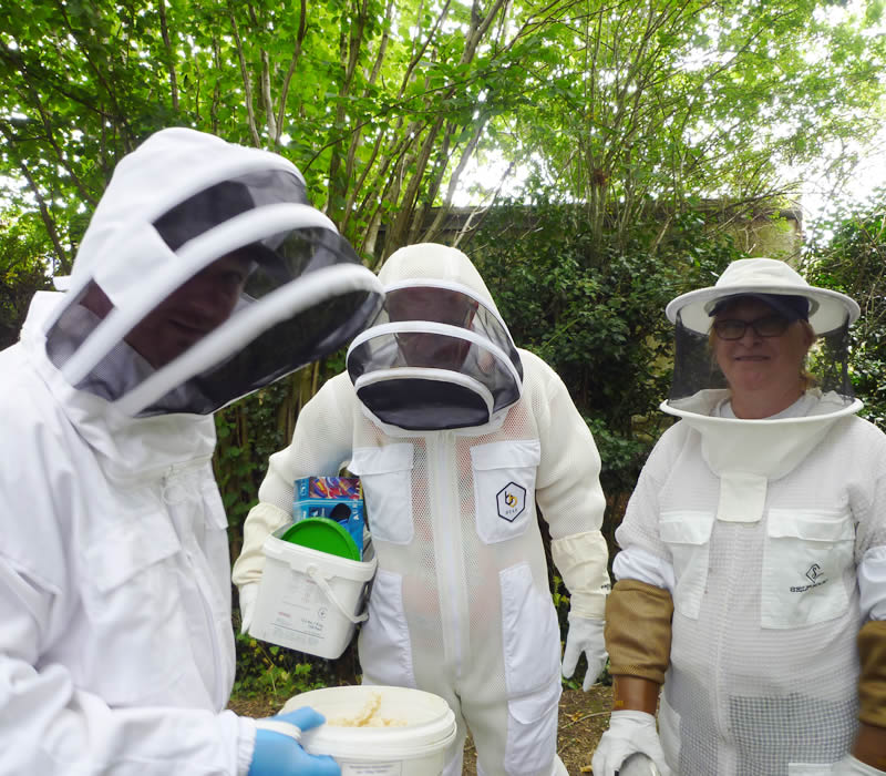 Beekeeping in Bacton