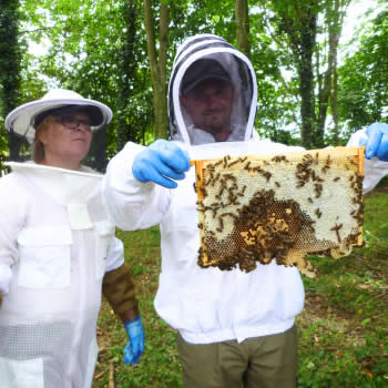 Bacton Bees Suffolk