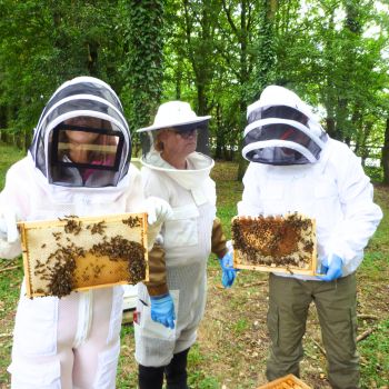 Bacton Bees Suffolk