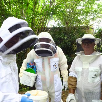 Bacton Bees Suffolk